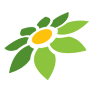MOD APK VCS